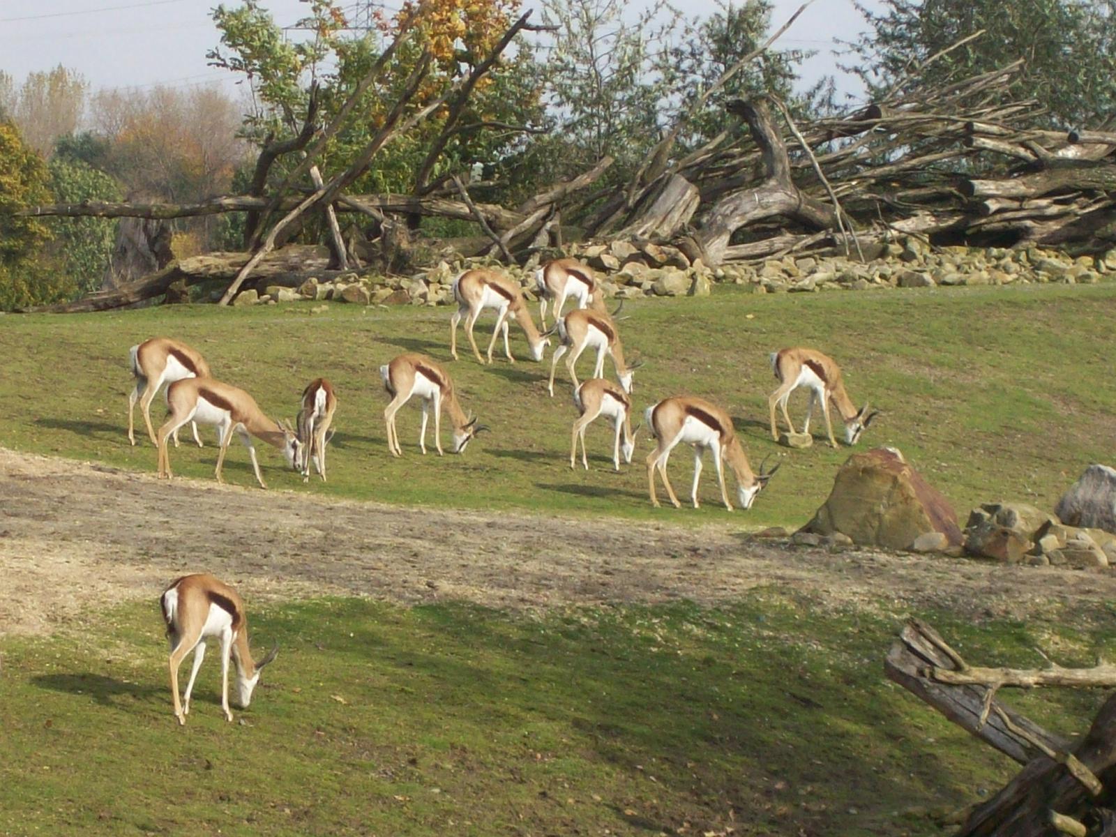 Zoom 18.10.2008-088.jpg